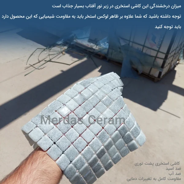 Gray Light F 1 - کاشی استخری طوسی روشن زمینه سفید پشت توری