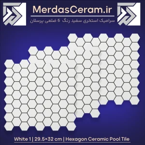 سرامیک 6 ضلعی استخری پرسلانی کد white 1 گوهر فام