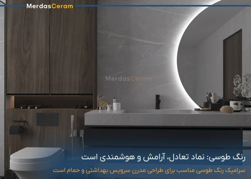 سرامیک رنگ طوسی برای دیوار سرویس بهداتشی باعث ایجاد تعادل با دیگر اجزای طراحی داخلی است.